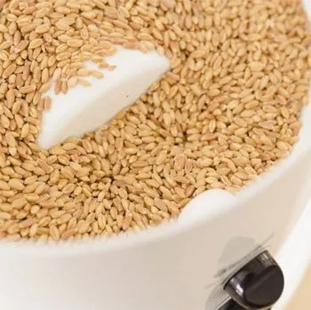 Grain Mills