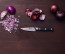 4" Paring Knife