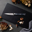 Zwilling Specturm Paring