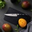 Zwilling Specturm 6.5 Utility Knife