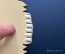 Thermohauser Comb Scraper
