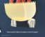 Thermohauser Comb & Scraper 