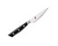 Miyabi Evolution 3.5 in. Paring Knife