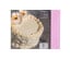 Ateco Cake Decorating Reference Manual
