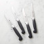 Four Star Steak Knife Set