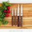 Victorinox Hardwood 3.25-inch Paring Knife