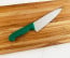 Victorinox HACCP Green Chef Knife