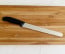 Victorinox Fibrox Pro 10 in. Round Tip Slicer