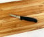 Victorinox Fibrox Pro 3 in. Poultry Boning Knife