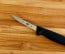 Victorinox Fibrox Pro 3 in. Poultry Boning Knife