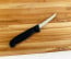 Victorinox Fibrox Pro 3 in. Poultry Boning Knife