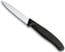 Victorinox 3 1/4 in. Spear Point Paring Knife, Black Handle