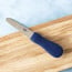 Victorinox 3 1/2 inch wide Clam Knife