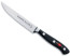 F. Dick Premier Plus Serrated Steak Knife