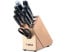 F. Dick Premier Plus 10 Piece Block Set
