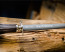 F Dick Dark Nitro 12 in Sharpening Steel