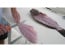 Dexter Outdoors 8 in Max Flex Fillet Knife
