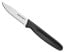 Dexter Basics 2.75 inch Clip-Point Paring Knife