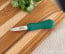 R Murphy 2.5 in. Olympia Oyster Shucker