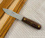 Dexter Traditional 5 in. Fishing Knife