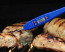 Escali Waterproof Digital Thermometer