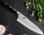 Miyabi Evolution 8 in. Chef Knife