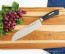 F. Dick Active Cut 7 in Santoku Knife