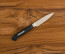 F. Dick Active Cut 3.5 in Paring Knife