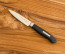 F. Dick Active Cut 3.5 in Paring Knife