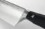 Wusthof Classic Ikon 9 in. Cook's Knife