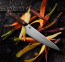 Shun Kanso 8 in. Chef Knife