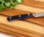 F. Dick Premier Plus 4.5 in. Paring Knife