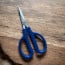 Mac 6.5 in. Herb & Lobster Shears