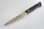 MAC Professional Paring Knife