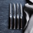 Shun Classic 4 Piece Steak Knife Set
