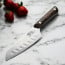 Shun Kanso 5.5 in Santoku