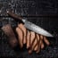 Shun Premier 8 in Chef Knife 